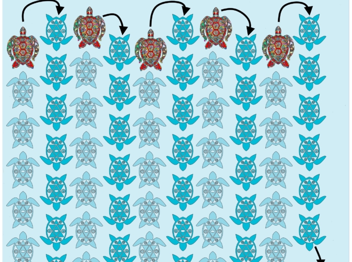 Żółwie – Gra planszowa