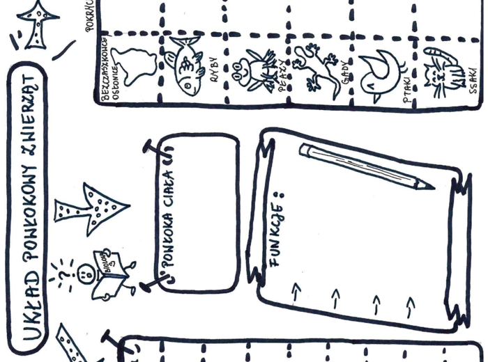 Układ powłokowy zwierząt