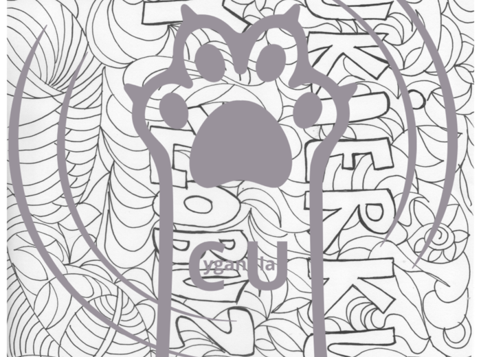 Karty Pracy z odpowiedziami do lektury „Cukierku, ty łobuzie!” Waldemara Cichonia