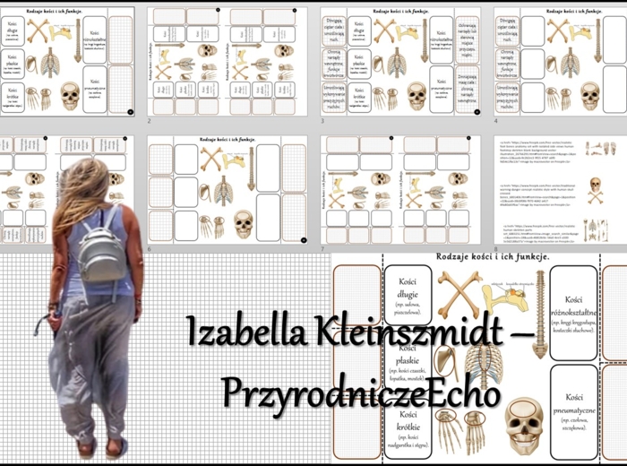 Notatka okienkowa/stacja zadaniowe/notatka interaktywna/notatka graficzna/karta pracy/sketchnotka „Rodzaje i funkcje kości”, „Aparat ruchu. Budowa szkieletu”. w pdf. Biologia 7, dział „Aparat ruchu”. Materiał wykonany na podstawie podręcznika z wydawnict