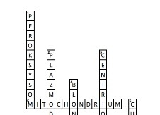 Krzyżówka- budowa komórek