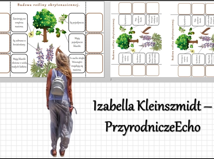 Notatka okienkowa „Budowa roślin okrytonasiennych”, „Okrytonasienne” w pdf. Biologia 5 dział „Różnorodność roślin”.