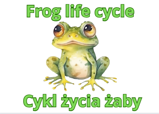 Frog life cycle- Cykl życia żaby