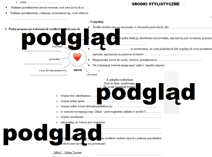 Środki stylistyczne poetyckie sprawdzian klasa 6, 7, 8
