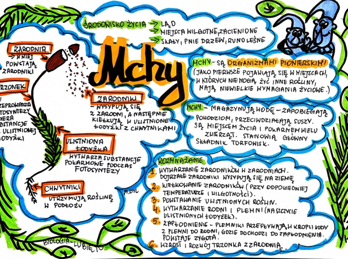 Klasa 5. Biologia. Mchy (karta pracy kolorowa)