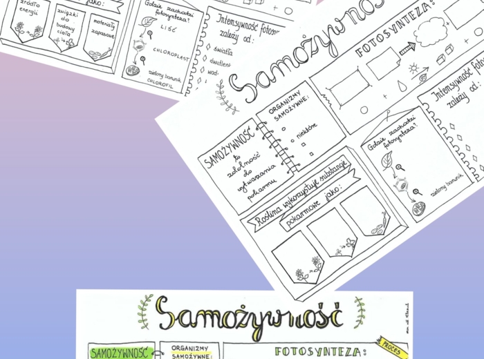 Biologia klasa 5 sketchnotki 40kart!