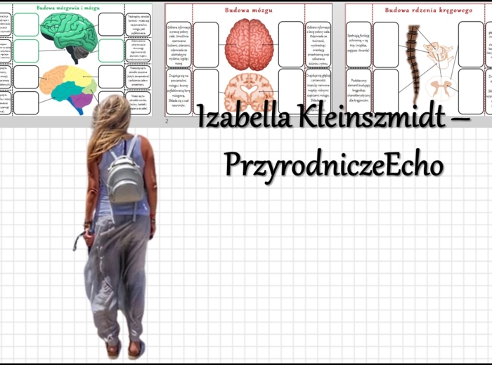 Notatka okienkowa „Ośrodkowy układ nerwowy „Budowa mózgowia”, „Budowa mózgu”, „Budowa rdzenia kręgowego” w pdf. Biologia 7 dział „Regulacja nerwowo - hormonalna”.