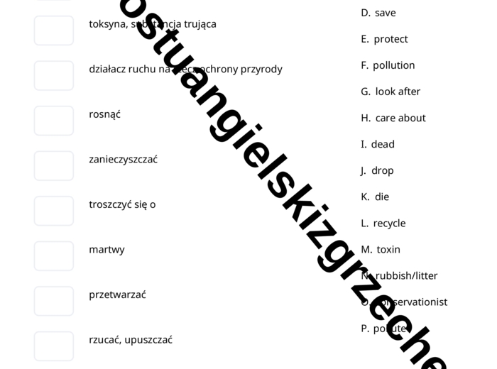 Junior Explorer 6 – Unit 8 – testy
