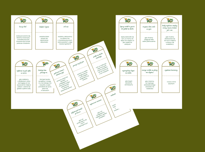 DZIEŃ PTAKÓW – wiosna - frazeologizmy – ZWIĄZKI FRAZEOLOGICZNE - fiszki – 30 szt. kl. 4-8 – egzamin – powtórzenie- ćwiczenia – frazeologizmy