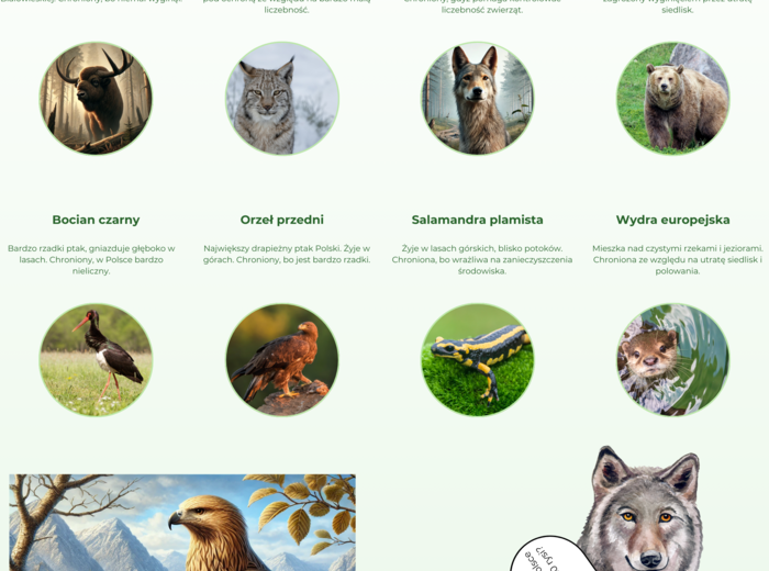 Plansze edukacyjne. Zwierzęta i rośliny chronione. Ekosystemy.