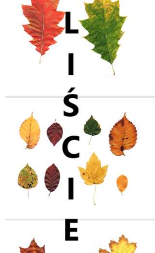 JESIENNE LIŚCIE - do gazetki, wklejki do zeszytu
