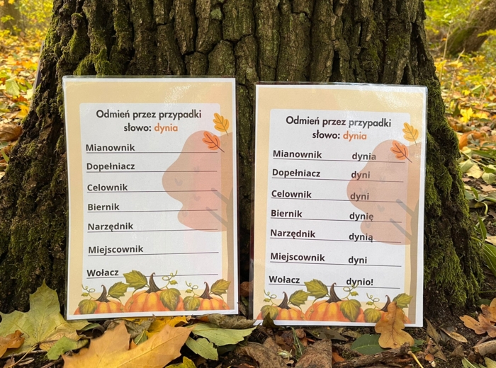 Dynia - odmiana przez przypadki