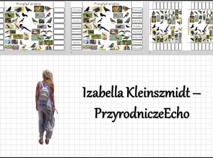 Notatka okienkowa „Przegląd ptaków” w pdf. Biologia 6 dział „Kręgowce stałocieplne”.
