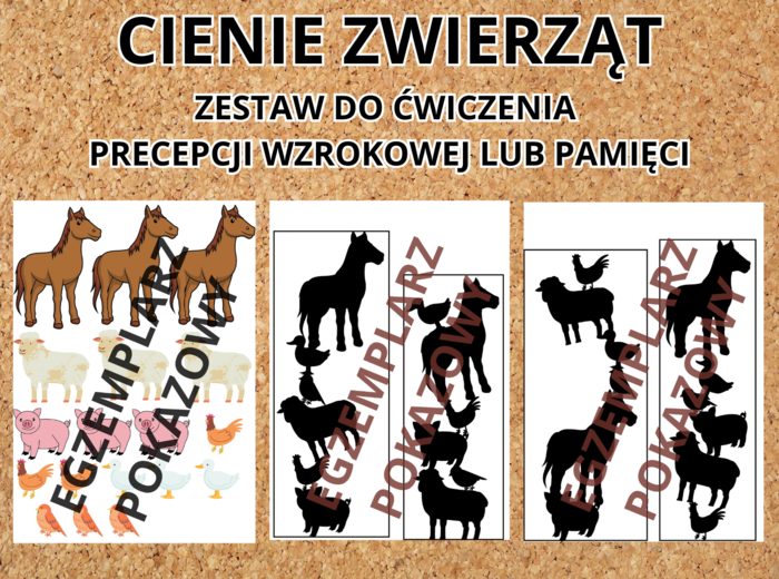 CIENIE ZWIERZĄT zestaw do ćwiczenia percepcji wzrokowej lub pamięci