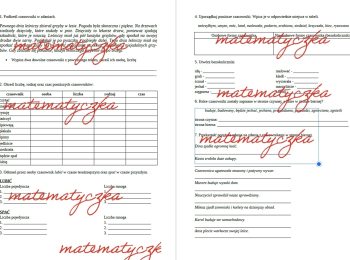 CZASOWNIK, bezokolicznik, strona czynna i bierna, rodzaj, czas i liczba czasowników KARTA PRACY