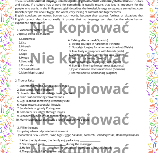 Karta pracy z czytanką Lost in Translation + Relative Clauses B1/B2