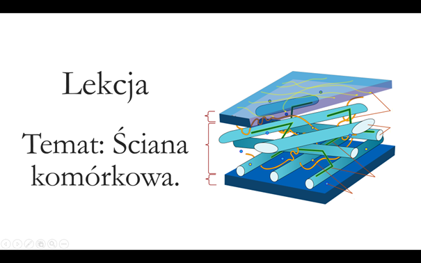 Klasa 1 ( zakres rozszerzony ) - Ściana komórkowa - prezentacja