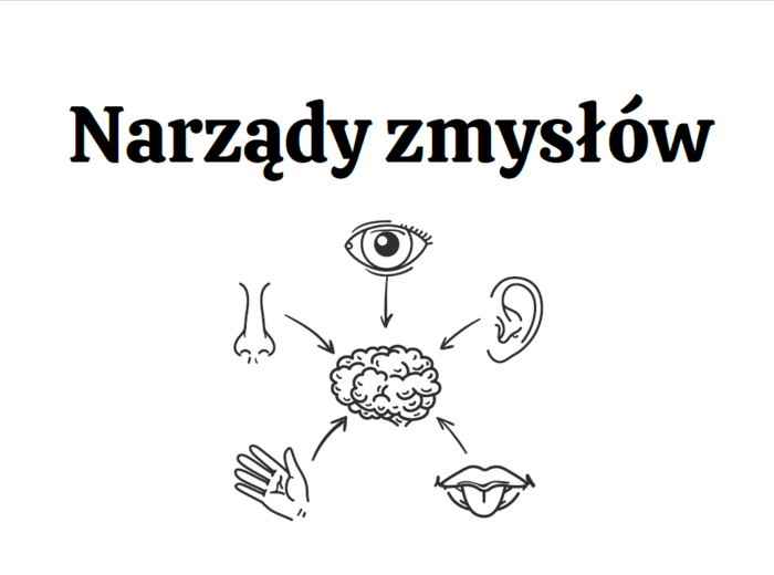 Narządy zmysłów 3 KLASA ROZSZERZENIE BIOLOGIA