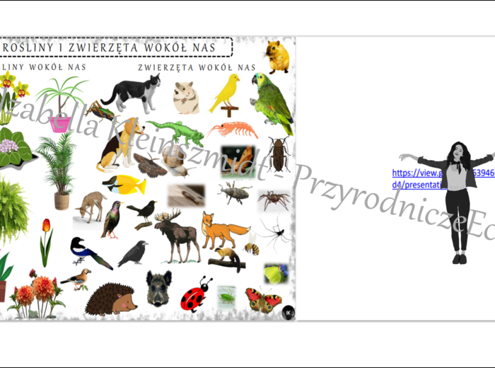 Karta pracy do tematu „Rośliny i zwierzęta wokół nas” oraz gratisowo pomysł na lekcję multimedialną z monitorem multimedialnym lub z tabletami (w formie niekomercyjnej prezentacji do edycji – krok po kroku) wykonany w genially Przyroda SP – klasa 4, dzia