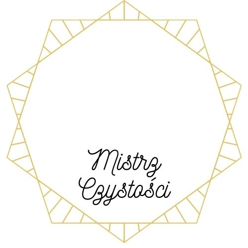 Medal Mistrz Świetlicy