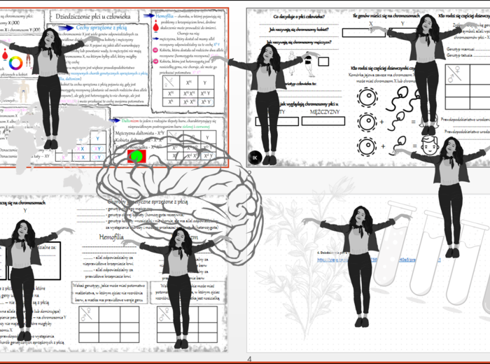 Minizestaw na temat „Dziedziczenie płci u człowieka „ – sketchnotka + karta pracy w power point + gratisowy link do prezentacji multimedialnej niekomercyjnej wykonanej w genial.ly do indywidualnego pobrania i użycia do celów niekomercyjnych. Biologia 8, 
