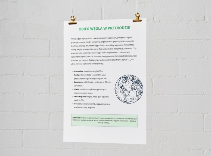 Infografiki. Cykl wodny. Obieg węgla w przyrodzie. Łańcuch pokarmowy