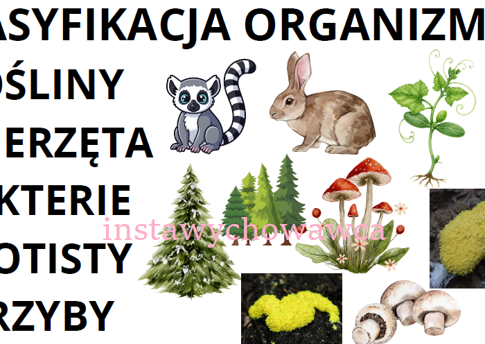 klasyfikacja organizmów