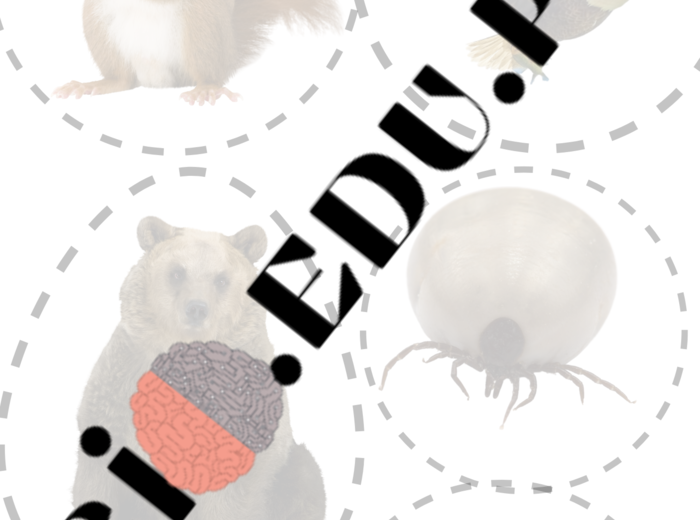 Temat: Cudzożywność - Klasa 5