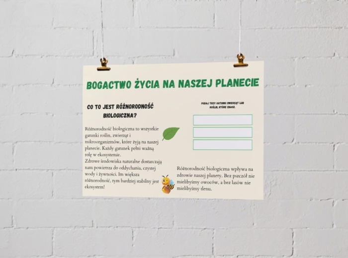 Plakaty edukacyjne. Cykl życia roślin i zwierząt. Różnorodność biologiczna. Jak chronić środowisko? Pięć zasad ekologii.