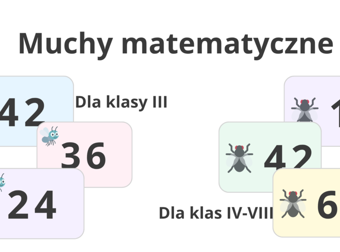 Muchy matematyczne — gra ruchowa z matematyką w roli głównej!