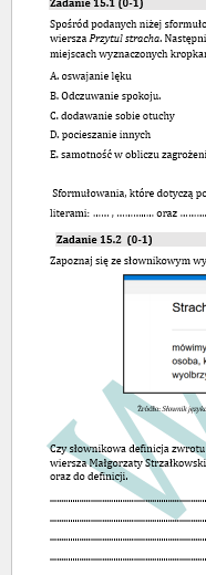 PRÓBNY EGZAMIN Z JĘZYKA POLSKIEGO JUŻ DLA SZÓSTOKLASISTY - CHŁOPCY Z PLACU BRONI