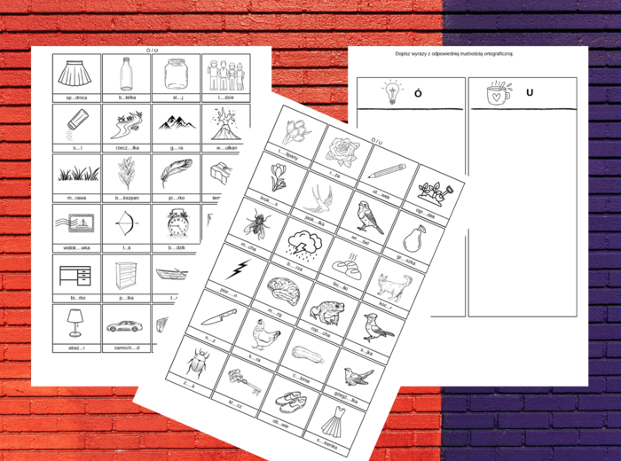 WYRAZY Z „Ó” i „U”, "RZ" i "Ż", "CH" i "H" – ortografia – wklejka – karta pracy - ZESTAW