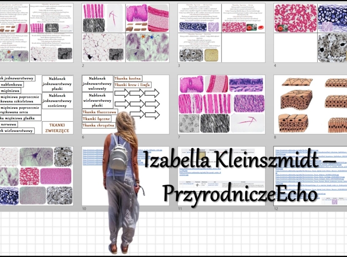 Materiał do zalaminowania/praca w grupach/stacje zadaniowe/układanka/puzzle/notatki okienkowe. Temat: „Organizm człowieka jako funkcjonalna całość” w pdf. Biologia 7 dział „Organizm człowieka. Skóra - powłoka organizmu”. Materiał wykonany na podstawie po