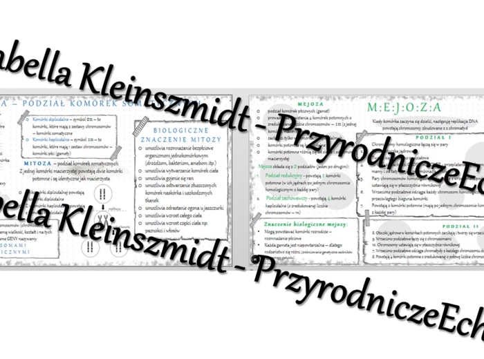 Sketchnotka - notatka „Podziały komórkowe – mitoza i mejoza” wykonana w power point do edycji. Biologia 8; „GENETYKA”