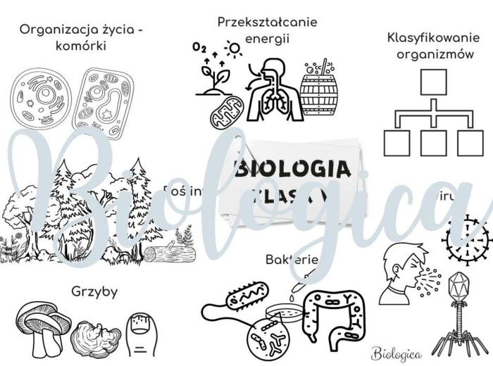 O CZYM BĘDĘ SIĘ UCZYŁ W TYM ROKU NA BIOLOGII? Obrazkowe karty na pierwszą lekcję dla klas 5-8.