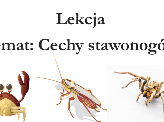 Klasa 6 - Cechy stawonogów - prezentacja