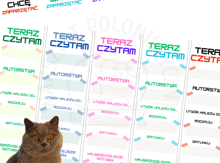 Teraz czytam... - zakładki, fiszki, zakładko-fiszki literackie