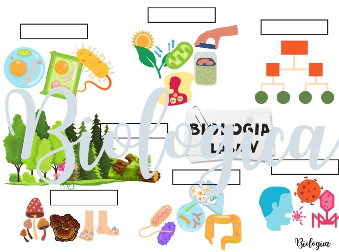 O CZYM BĘDĘ SIĘ UCZYŁ W TYM ROKU NA BIOLOGII? Obrazkowe karty na pierwszą lekcję dla klas 5-8.