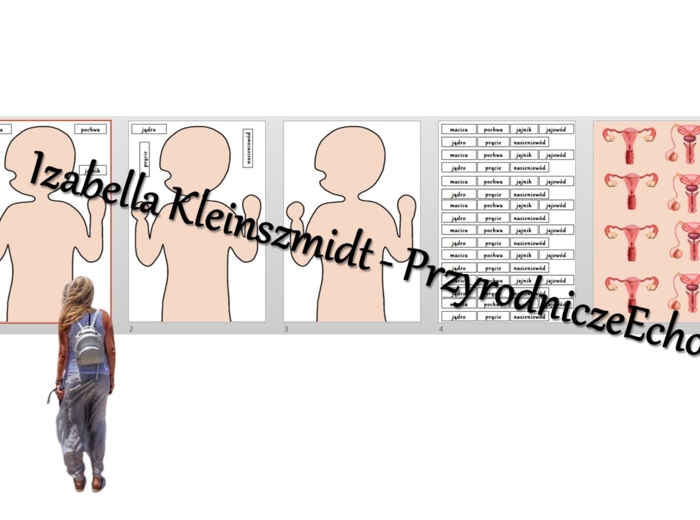 Budowa układów narządów człowieka – układanki do zalaminowania. Przyroda 4 / Biologia 7. Układy narządów człowieka. Przyroda 4, „Odkrywamy tajemnice ciała człowieka”.