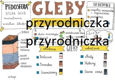 Gleby