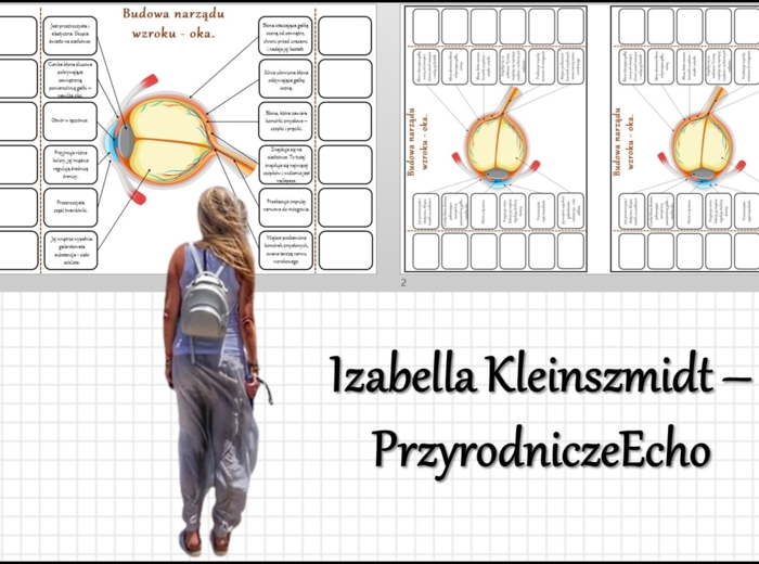 Notatka okienkowa „Budowa narządu wzroku - oka” w pdf. Biologia 7 dział „Budowa i działanie narządu wzroku” - dział „Narządy zmysłów”.