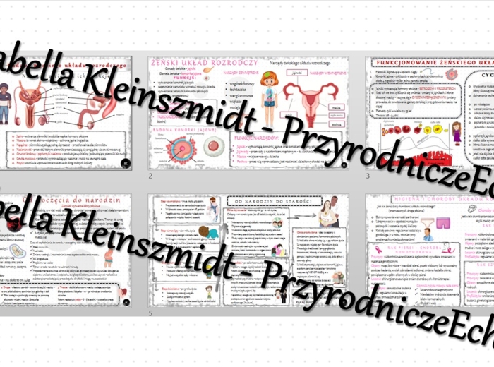 Zestaw sketchnotek – notatek do całego działu „Rozmnażanie i rozwój człowieka” wykonanych w power point do edycji. Biologia 7