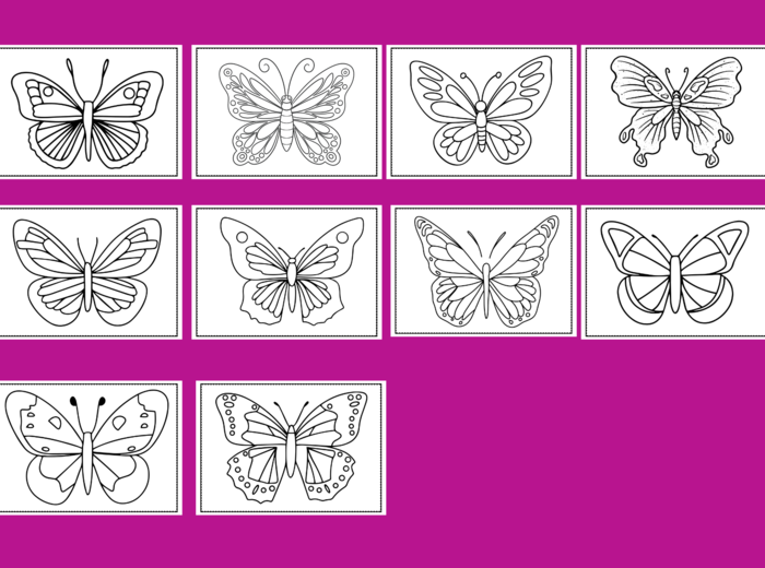 DZIEŃ MOTYLA – Galeria portretów – kolorowanka – kolorowanki – WIOSNA – biblioteka – świetlica – przedszkole – 30 wersji