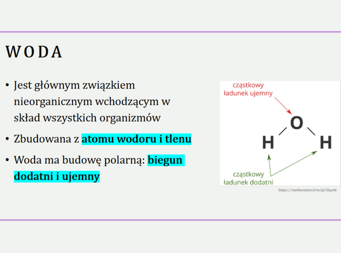 Skład chemiczny organizmów​ + znaczenie wody dla organizmów KLASA 1 PODSTAWA BIOLOGIA