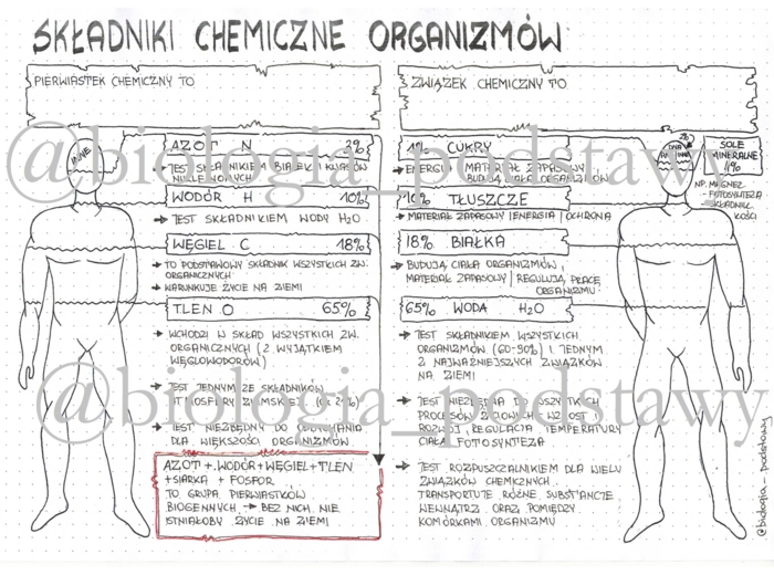 Klasa 5 - Składniki chemiczne organizmów - sketchnotka