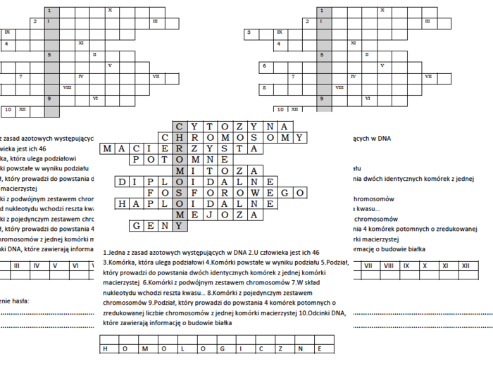 Logogryf na podsumowanie lekcji biologii w klasie 8 o podziałach komórkowych