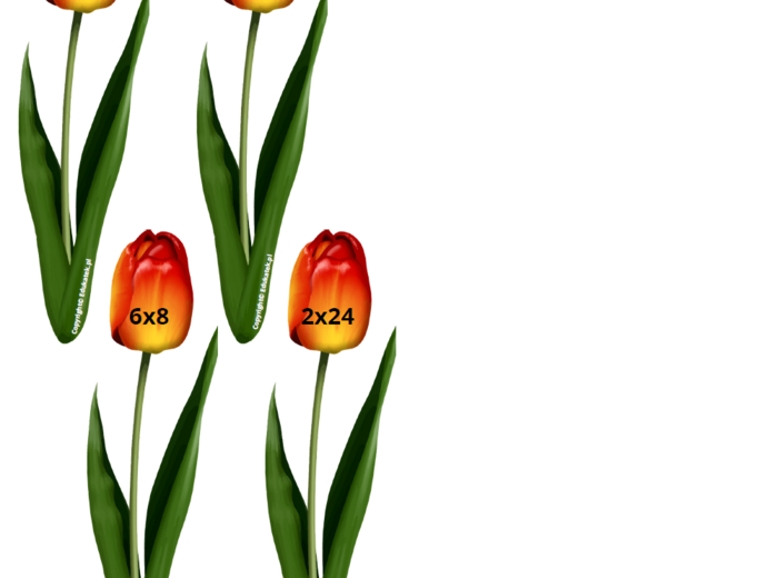 Wiosenna tabliczka mnożenia – doskonalenie tabliczki mnożenia