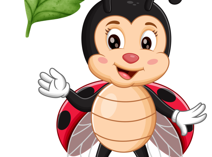 GRUPA BIEDRONECZKI / BIEDRONKI