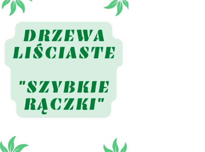 Szybkie rączki - drzewa liściaste