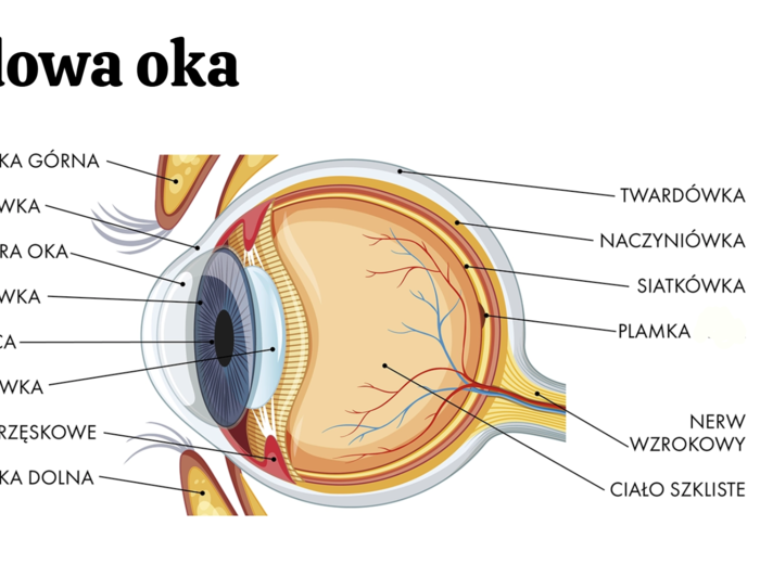 KLASA 3 rozszerzenie - PAKIET NA CAŁY ROK